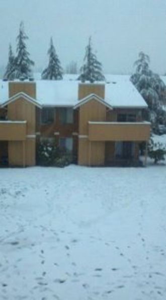 Illustration for article titled Hey, Seattle Gamers and Game Developers, Show Us Your Snow!